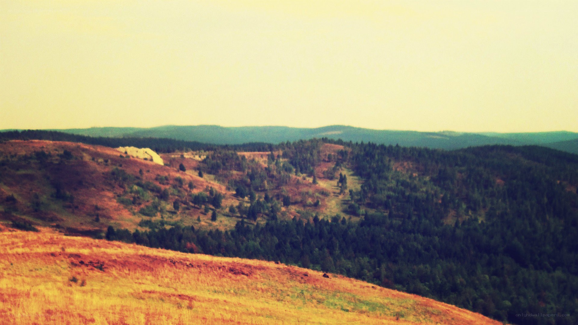 rolling hills at golden hour