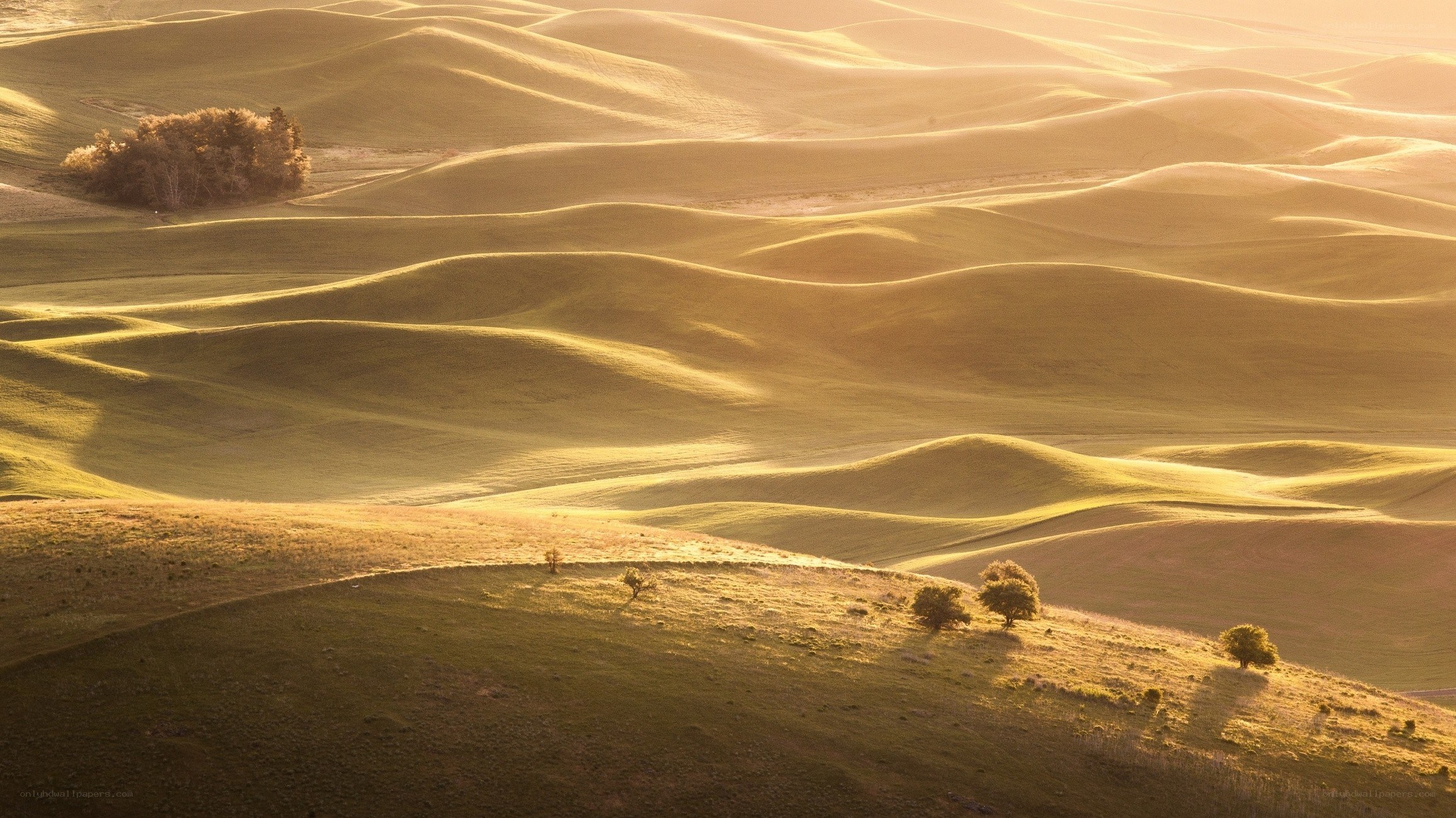 Rolling hills at golden hour