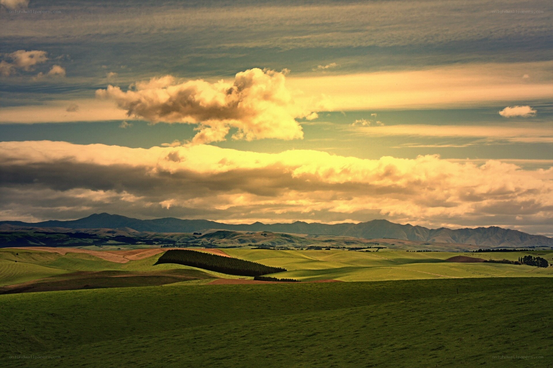 Rolling hills at golden hour