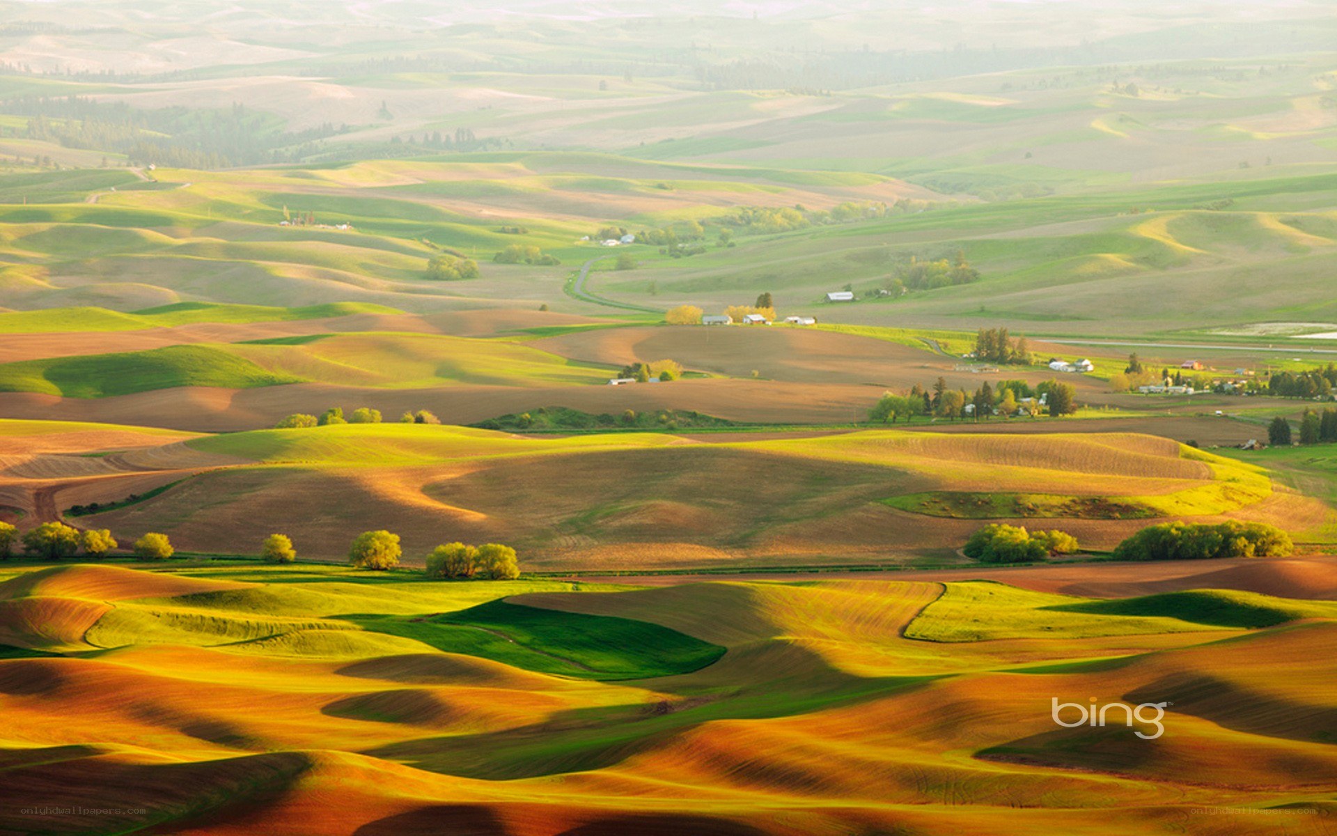 Rolling hills at sunrise