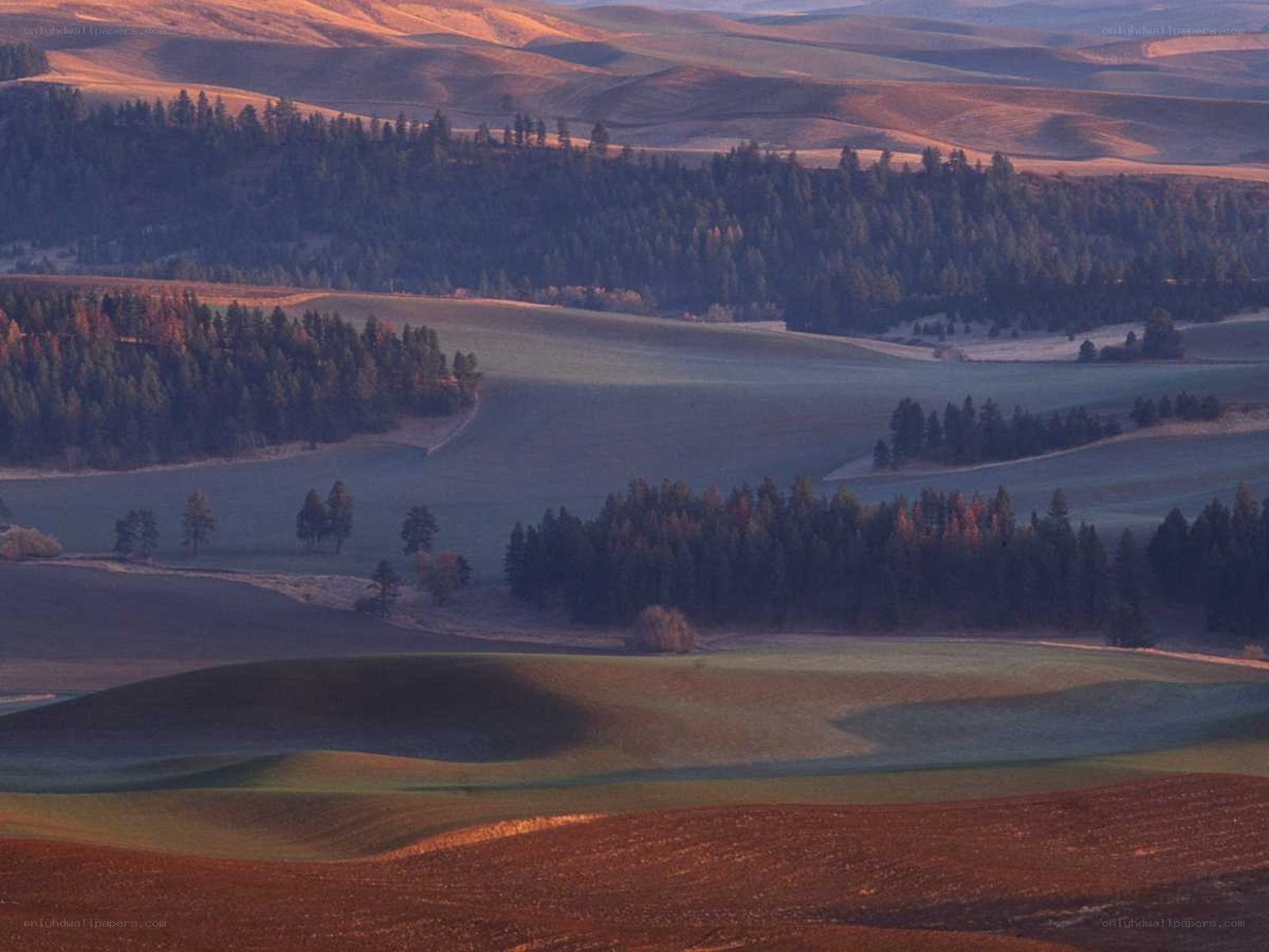 Rolling hills at sunrise