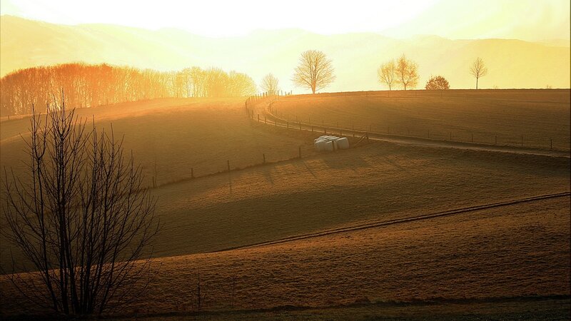 Rolling Hills at Sunrise — Gold, Serene