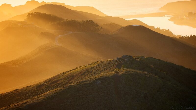 Rolling Hills at Sunrise — Gold
