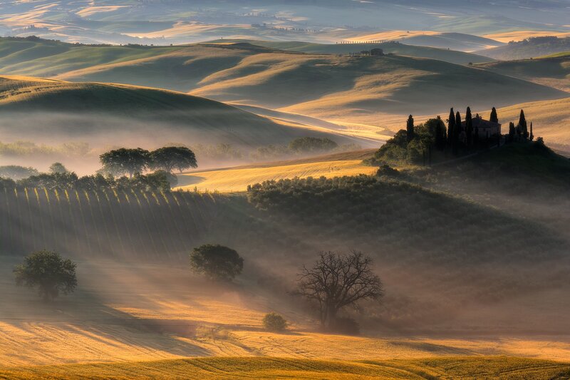 Rolling Hills at Sunrise — Green, Serene, Photograph, Fog, Cypress Trees
