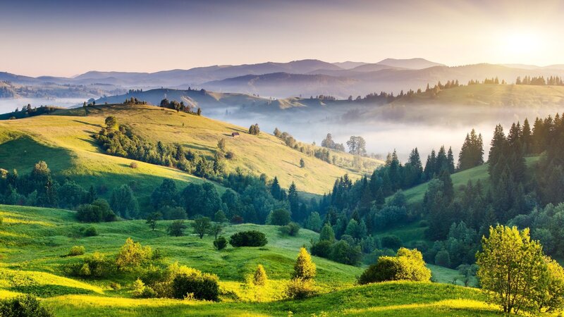Rolling Hills at Sunrise — Green, Serene, Photograph, Fog