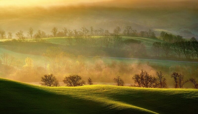 Rolling Hills at Sunrise — Green, Serene, Photograph, Trees, Fog