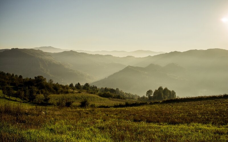Rolling Hills at Sunrise — Green, Serene, Photograph, Trees, Sun
