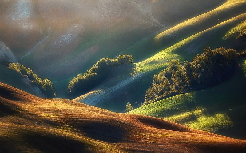 Rolling Hills at Sunrise — Green, Serene, Photograph, Trees, Sunlight