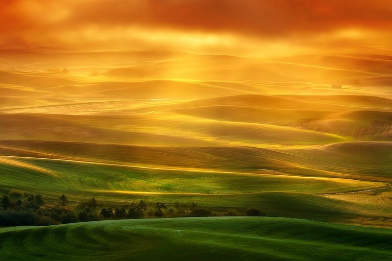 Rolling Hills at Sunrise — Green, Serene