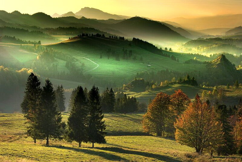 Rolling Hills at Sunrise — Green