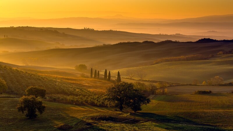 Rolling Hills at Sunrise — Orange, Serene, Photograph, Trees, Fog