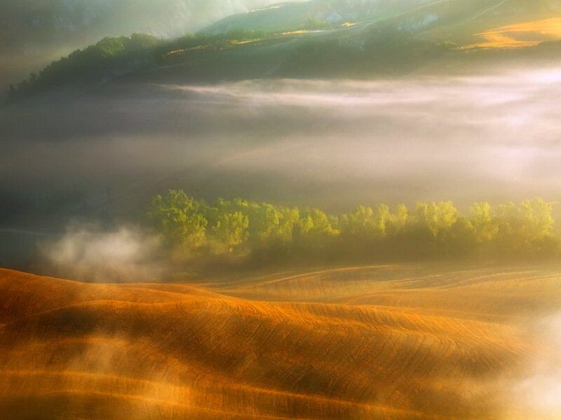 Rolling Hills at Sunrise — Orange, Serene