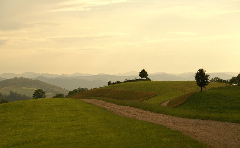 Rolling hills at sunset