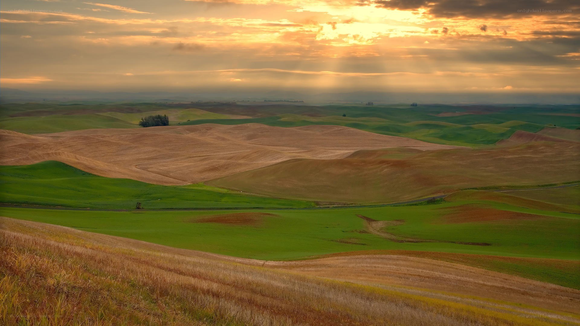 Rolling hills at sunset