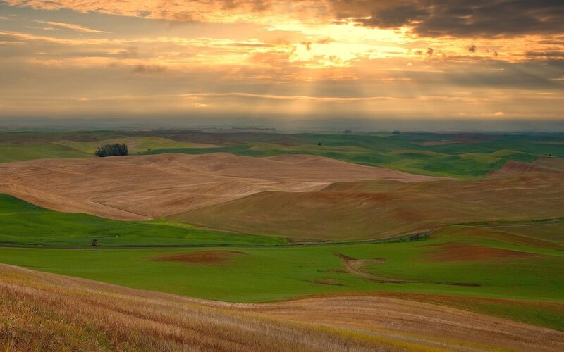 Rolling hills at sunset