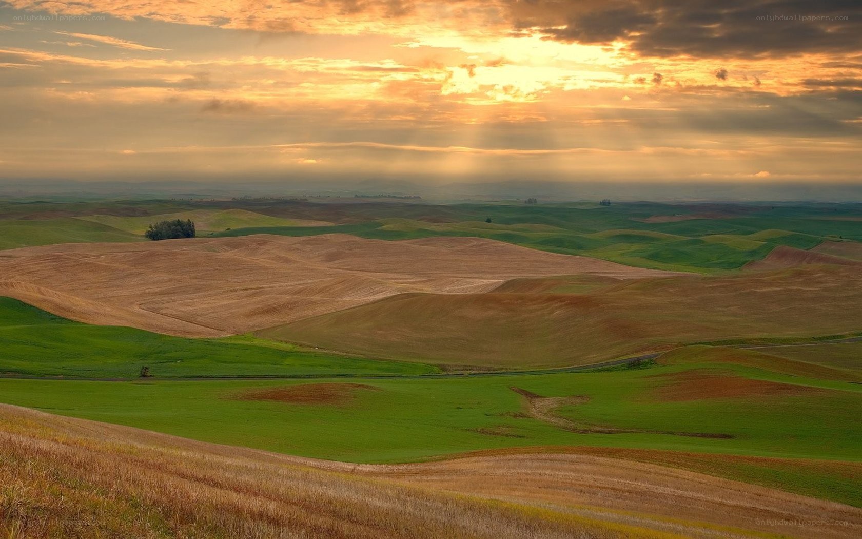 Rolling hills at sunset