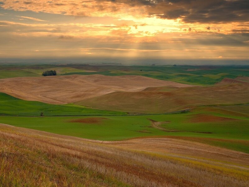 Rolling hills at sunset