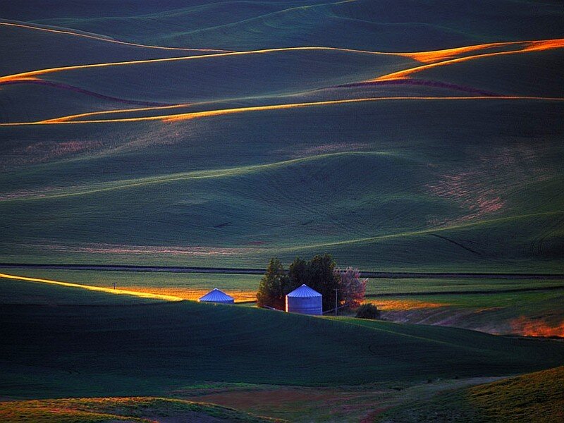 Rolling hills at sunset