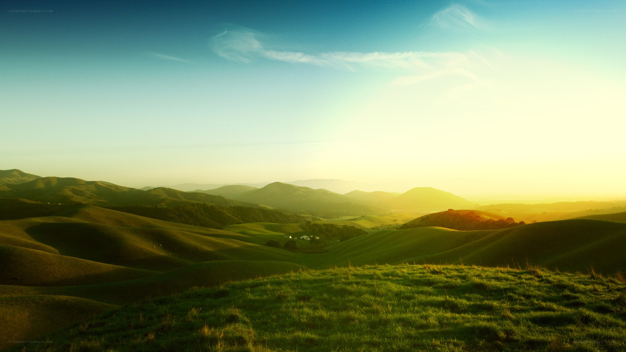 Rolling hills at sunset