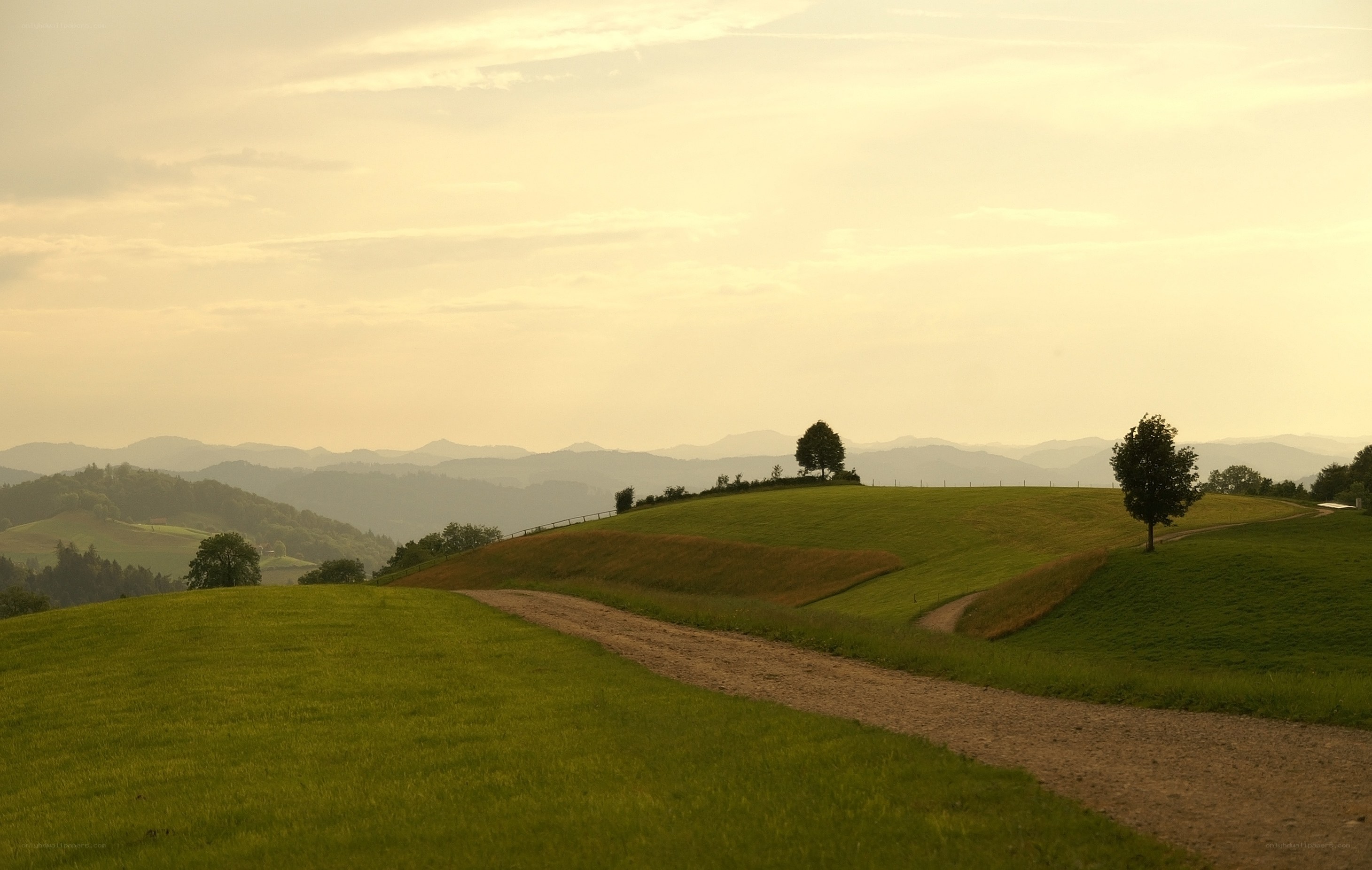 Rolling hills at sunset