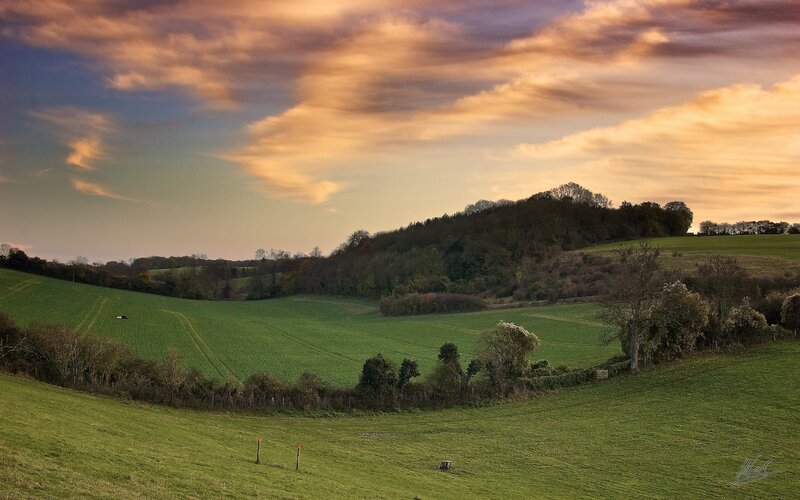 Rolling hills at sunset