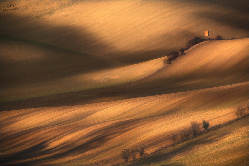 Rolling Hills at Sunset — Brown, Serene, Photograph, Fields