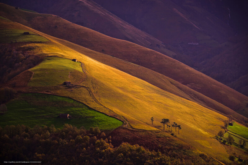 Rolling Hills at Sunset — Gold, Serene, Photograph, Fields