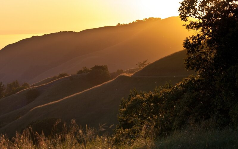 Rolling Hills at Sunset — Gold, Serene