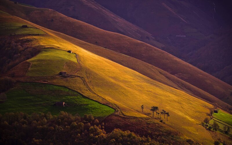 Rolling Hills at Sunset — Gold