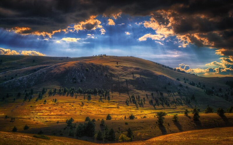 Rolling Hills at Sunset — Golden