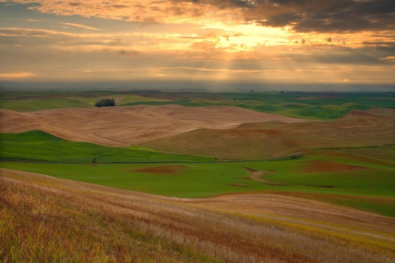Rolling Hills at Sunset — Green, Serene, Photograph, Fields, Clouds, Sunlight
