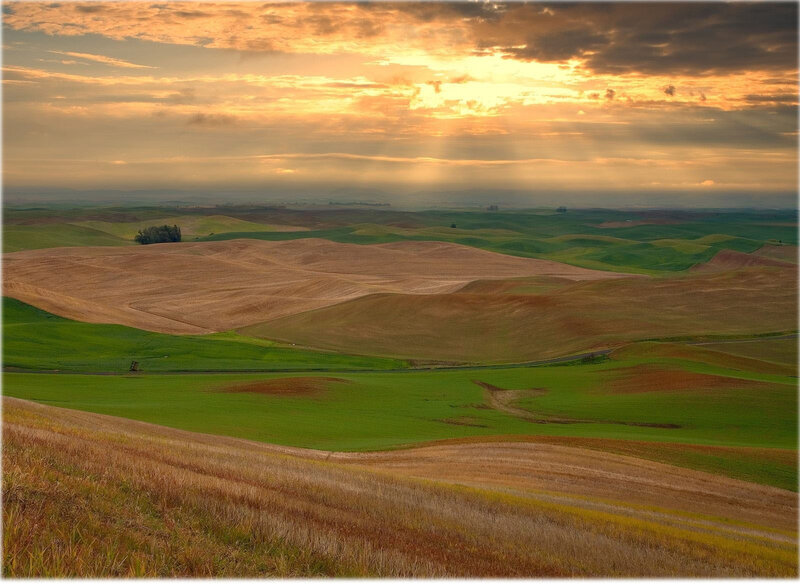 Rolling Hills at Sunset — Green, Serene, Photograph, Fields