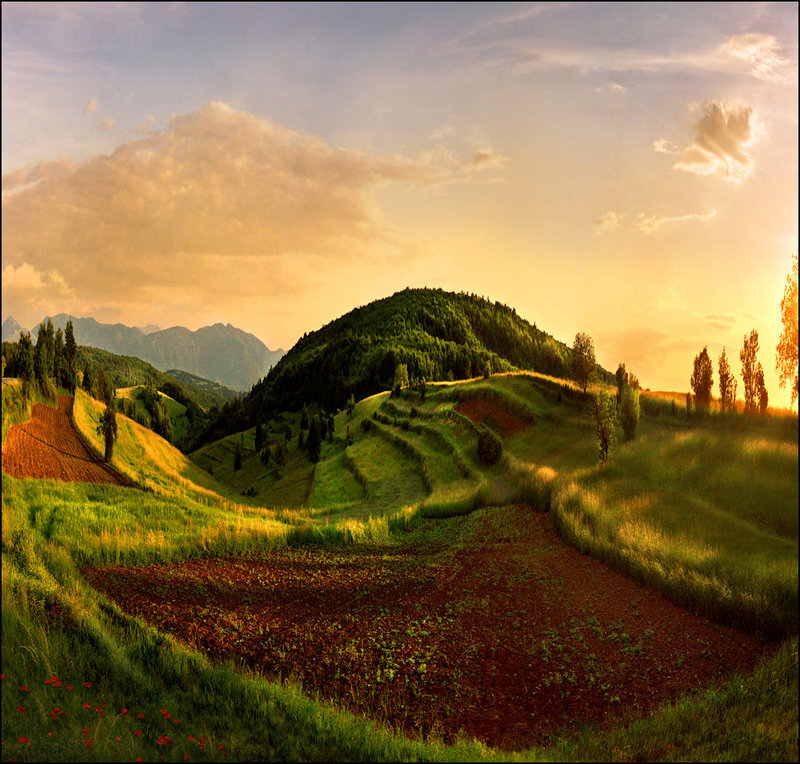 Rolling Hills at Sunset — Green, Serene, Photograph, Mountains