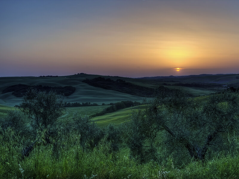 Rolling Hills at Sunset — Green, Serene, Photograph, Olive Trees