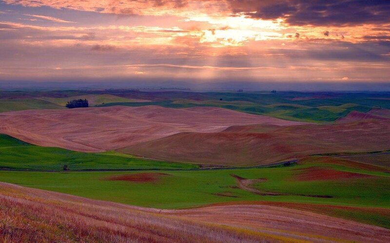 Rolling Hills at Sunset — Green, Serene, Photograph, Sky