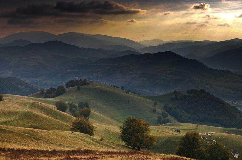 Rolling Hills at Sunset — Green, Serene, Photograph