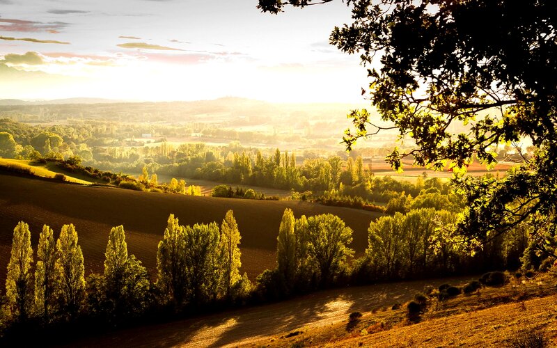 Rolling Hills at Sunset — Green, Serene, Photograph, Trees