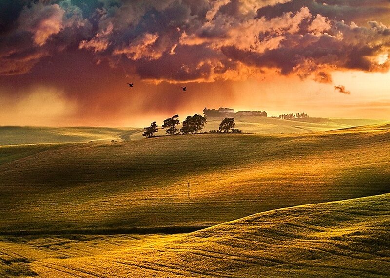 Rolling Hills at Sunset — Orange