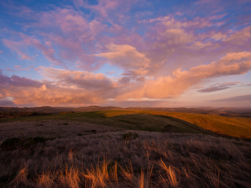 Rolling Hills at Sunset — Purple, Serene, Photograph