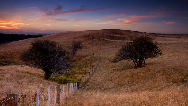 Rolling Hills at Sunset — Purple, Serene, Photograph, Trees, Fence