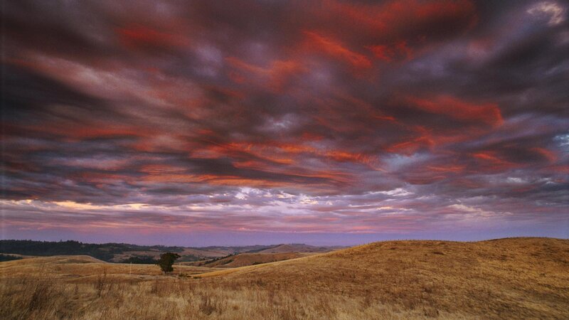 Rolling Hills at Sunset — Red