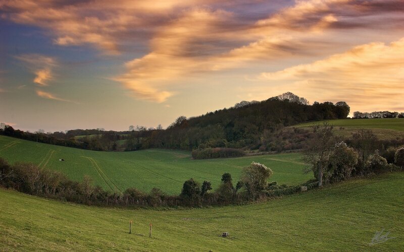 Rolling hills at sunset