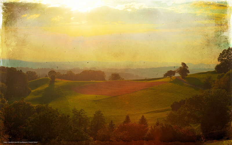 Rolling Hills at Sunset — Yellow