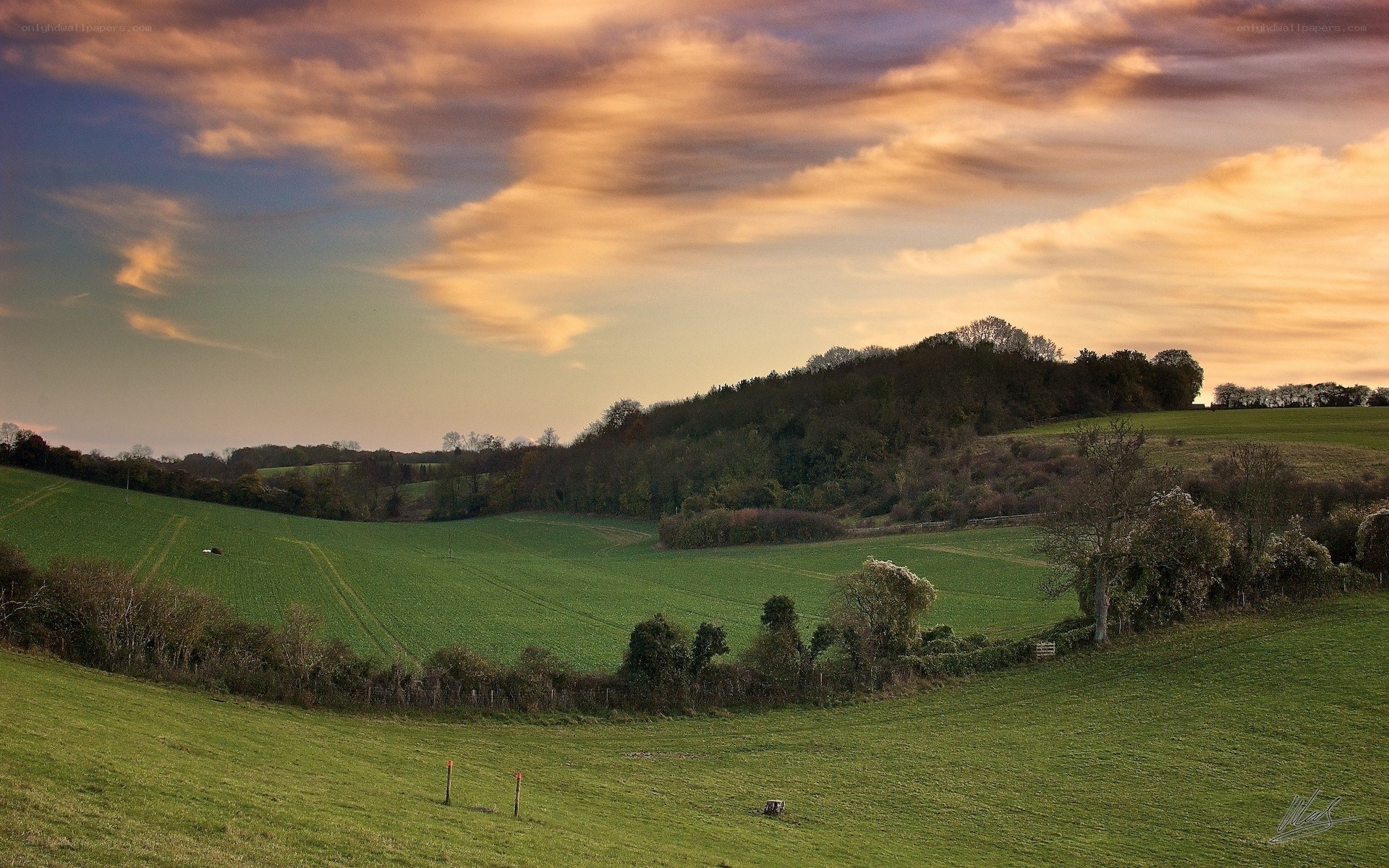 Rolling hills at sunset