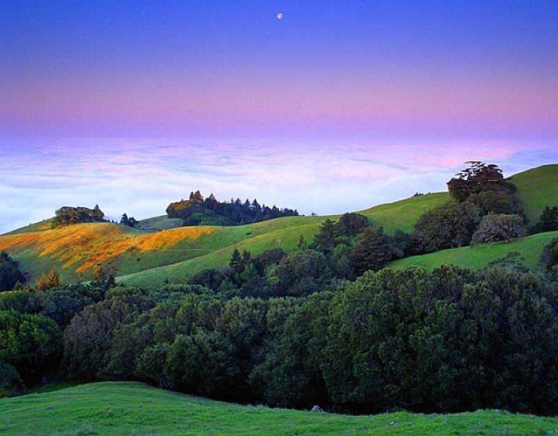 Rolling hills at twilight