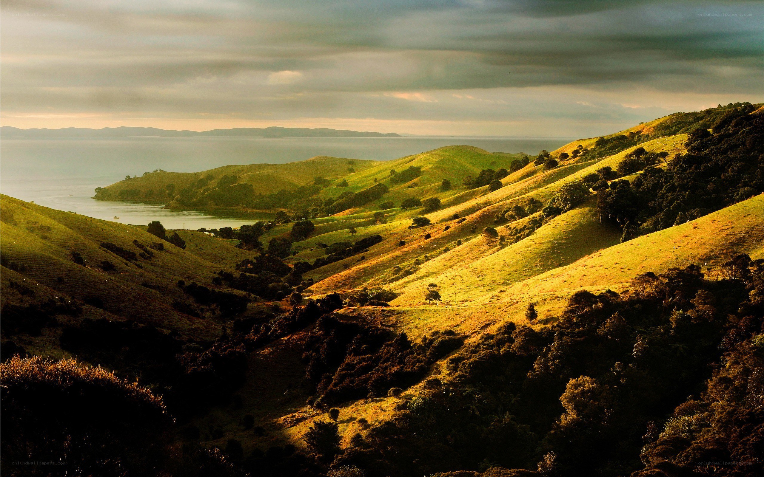 Rolling hills by the sea
