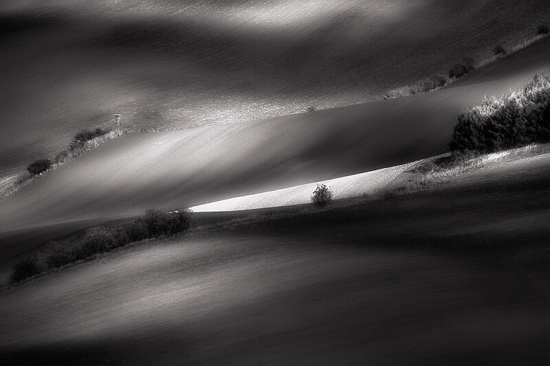 Rolling Hills Landscape — Black
