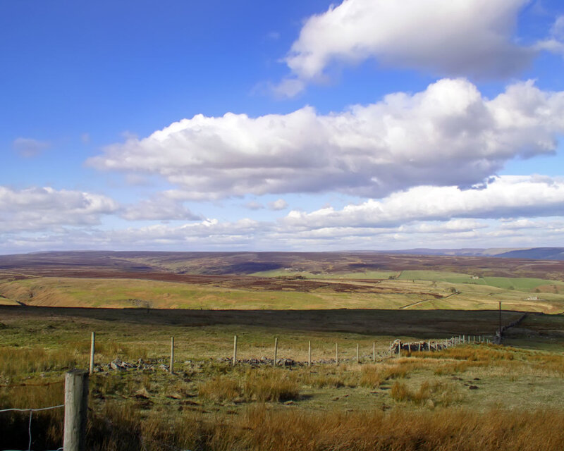 Rolling Hills Landscape — Blue, Serene