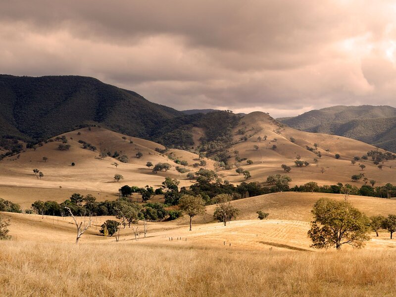 Rolling Hills Landscape — Brown, Dramatic