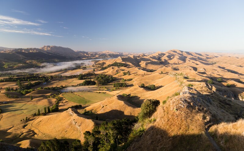 Rolling Hills Landscape — Brown, Serene, Morning